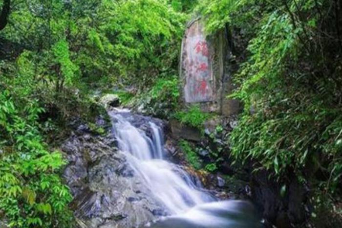 大桂山国家森林公园