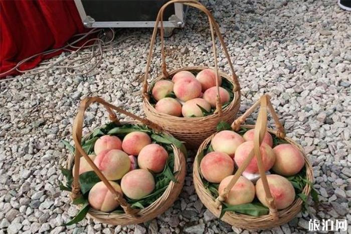 丁宅水蜜桃采摘基地 采摘时间 丁宅水蜜桃采摘基地 采摘时间