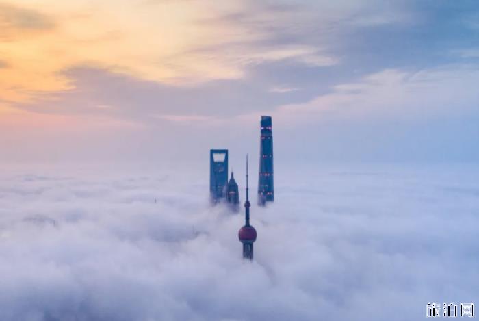 上海喝下午茶哪里好-店铺推荐 上海喝下午茶哪里好-店铺推荐