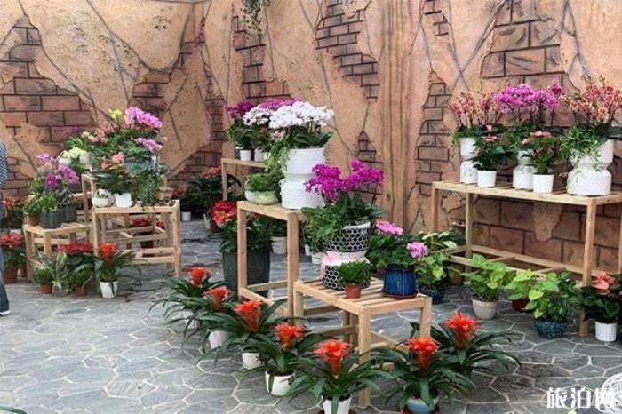 长春公园新建“热带雨林”科普园 在哪-怎么样 长春公园新建“热带雨林”科普园 在哪-怎么样