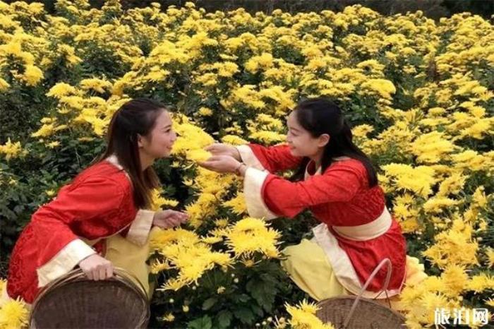 广元有什么特产可以带走 广元有什么特产可以带走