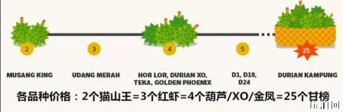 猫山王榴莲多少钱 猫山王榴莲什么季节熟 猫山王榴莲多少钱 猫山王榴莲什么季节熟