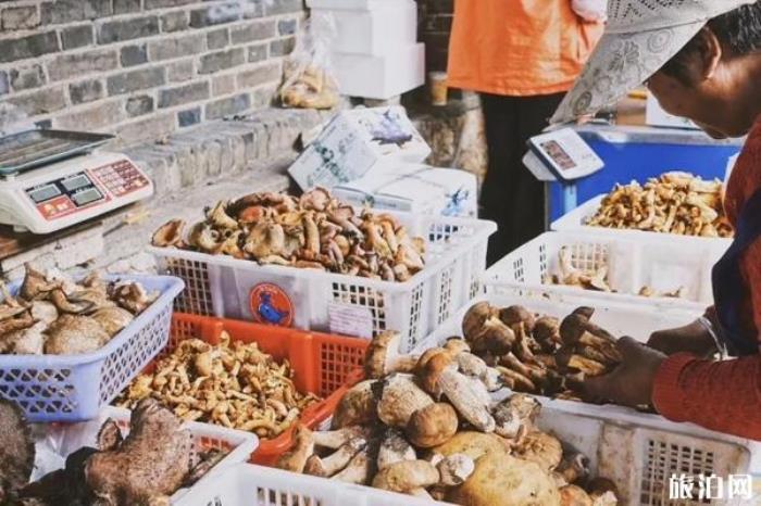 云南野生菌市场在哪 云南美食店推荐