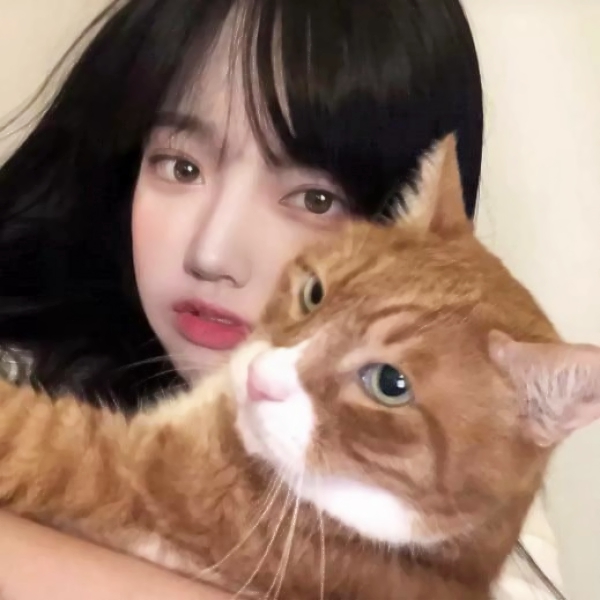 深圳结女伴旅游中介受廿玉