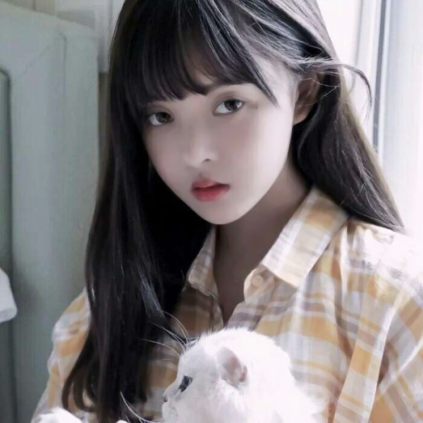 北京陪游女孩展销车模抗涵如