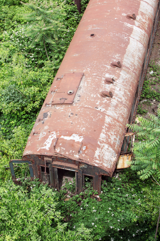 国际快递esm查询轨迹-国际EMS快递包裹物流信息怎么查