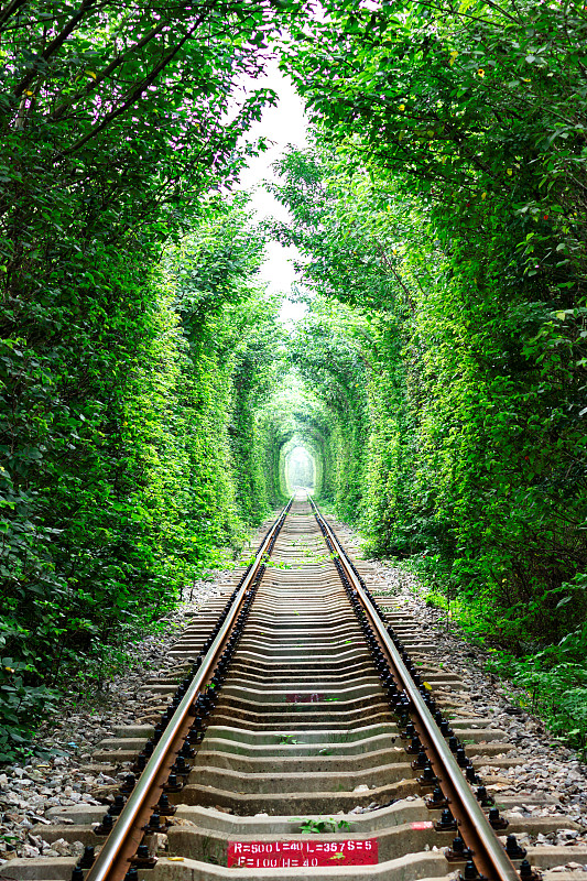 中国国际区号是多少-一分钟了解我国国际电话区号