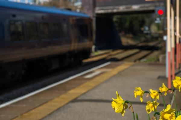 媒体热议“两千多家在印外企为何'跑路'了”与“印度要在25年内成为'发达国家”