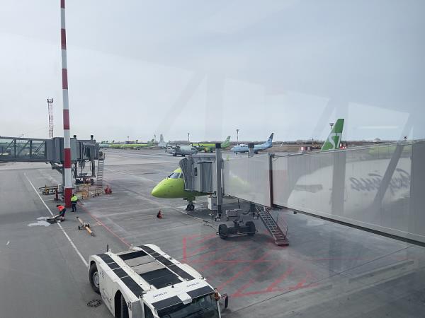 tracked快递单号查询-track物流查询平台入口