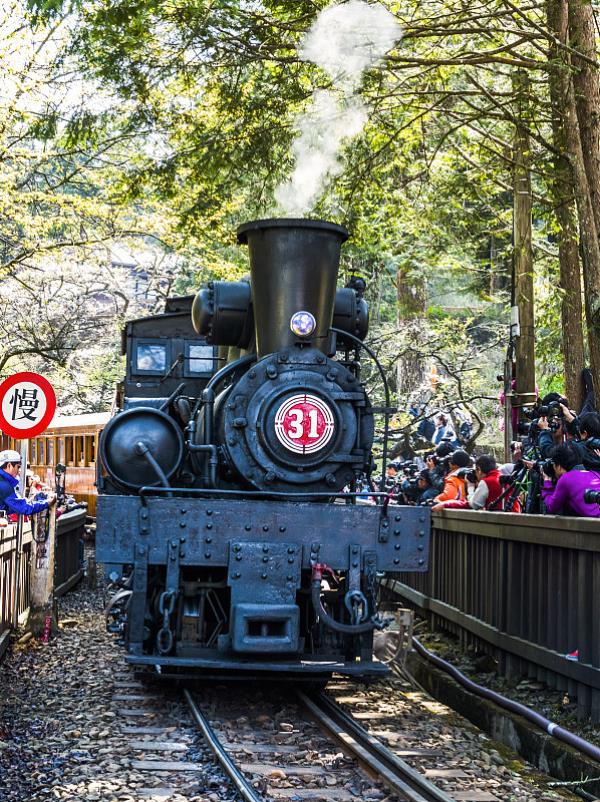 国际快递跟踪服务网址-物流信息全程跟踪定位网址跟踪服务,国际快递