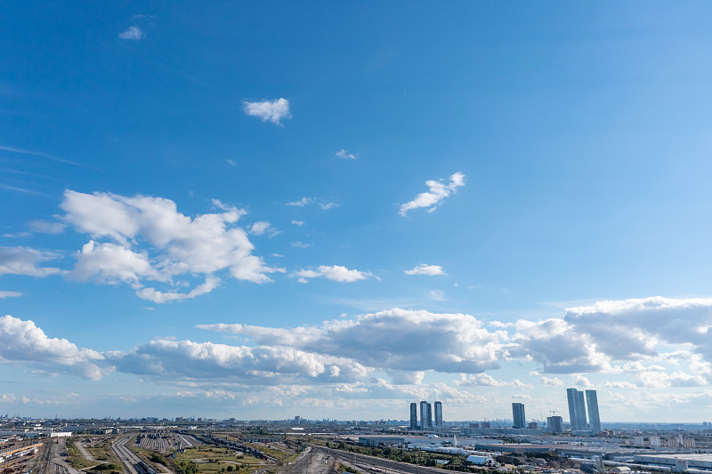 中国广州文竹盆景使用海空联运8天配送到新加坡