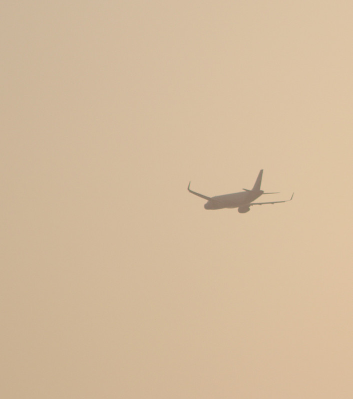 中国石河子碘伏棉签使用国际海空联运13天速递到新加坡