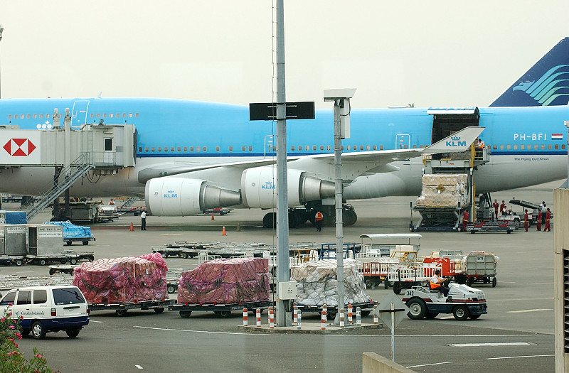 壁饰采用深圳优先空运配送到新加坡 壁饰采用深圳优先空运配送到新加坡