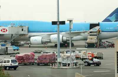 壁饰采用深圳优先空运配送到新加坡