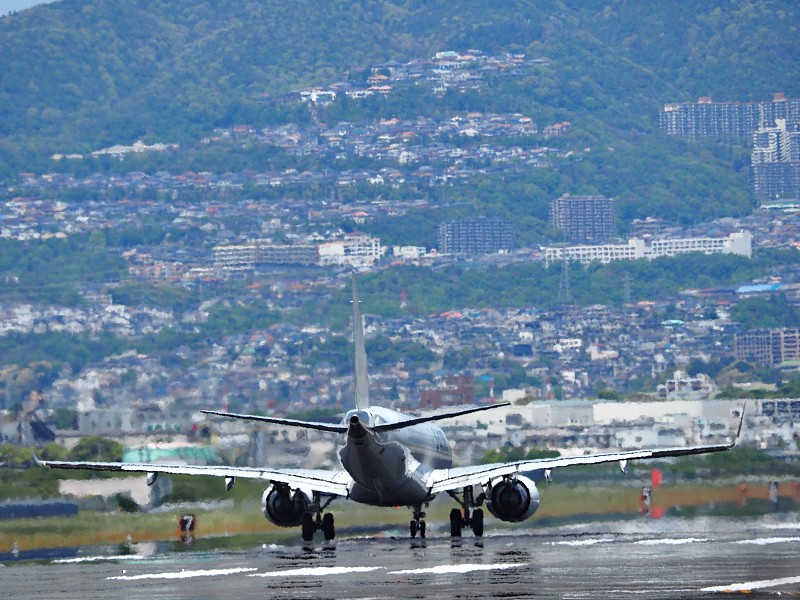 北京龙井茶叶采用优先空运13天配送到新加坡