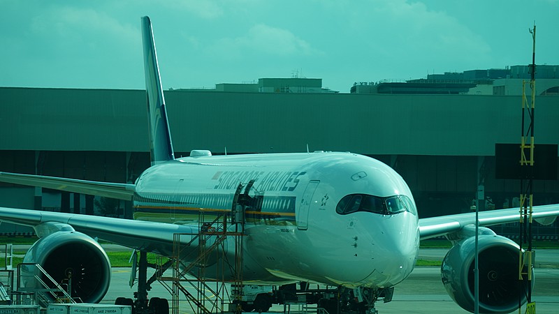 中国天津清明风筝使用航空货运13天送达新加坡