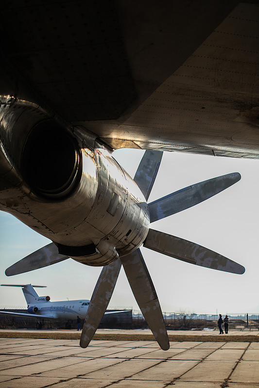 印刷品中国大连班轮运输快送到新加坡 印刷品中国大连班轮运输快送到新加坡