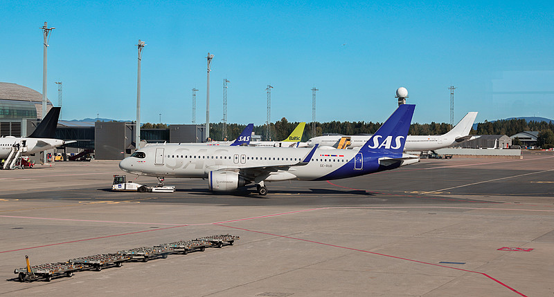 北京初级农产品采用优先空运13天内送达新加坡