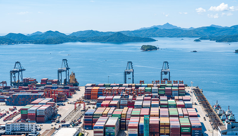 鸡爪通过中国武汉散货船运输递送到新加坡