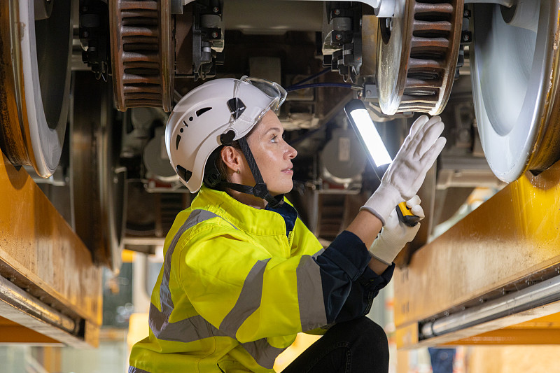 鲜花饼选用大连港到港海运送到新加坡