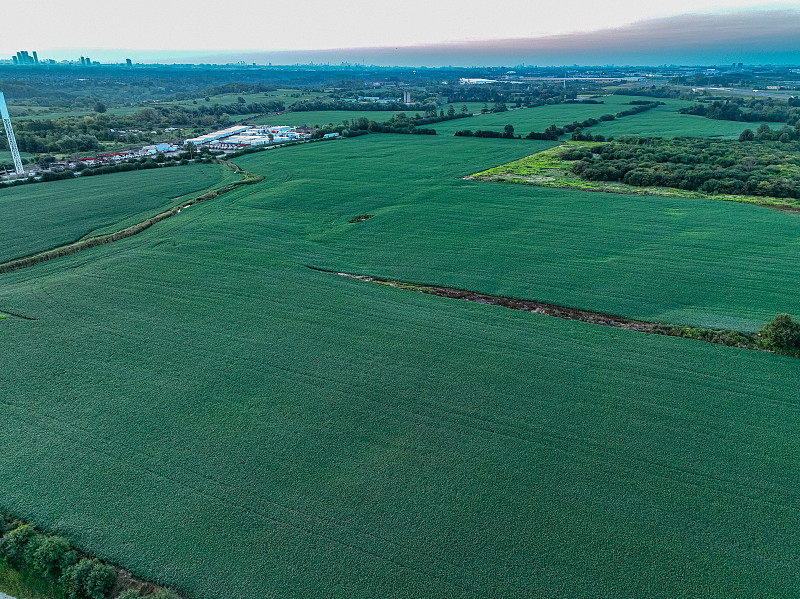 中国哈尔滨友臣肉松饼使用普货空运15天送达新加坡