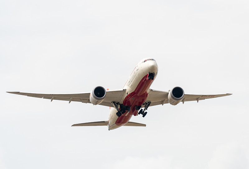 金华火腿应用中国厦门飞机运输送达新加坡 金华火腿应用中国厦门飞机运输送达新加坡