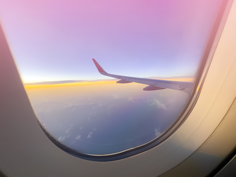 上海至新加坡的生物医药使用国际快递13天内送达