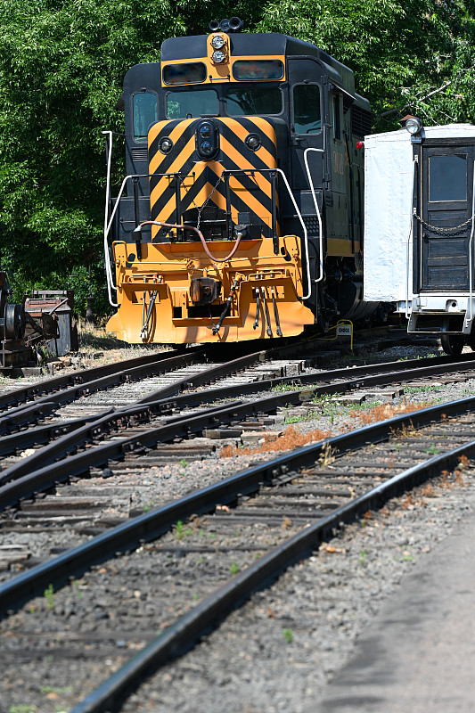 初级农产品借用中国深圳拼箱海运抵达新加坡