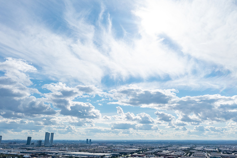 仿真绢花经过上海多式联运速递到新加坡