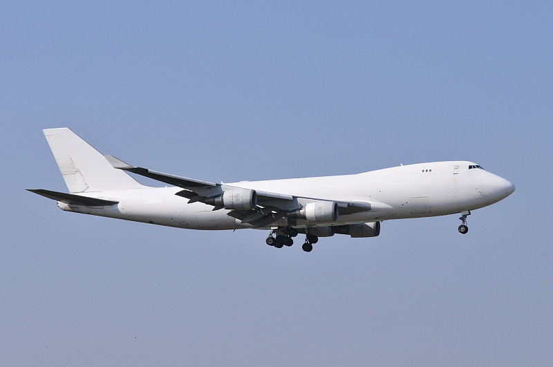 中国海口乳桑木使用航空运输14天内送达新加坡 中国海口乳桑木使用航空运输14天内送达新加坡