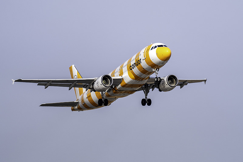 鄂州钢铁使用空运13天内配送到新加坡