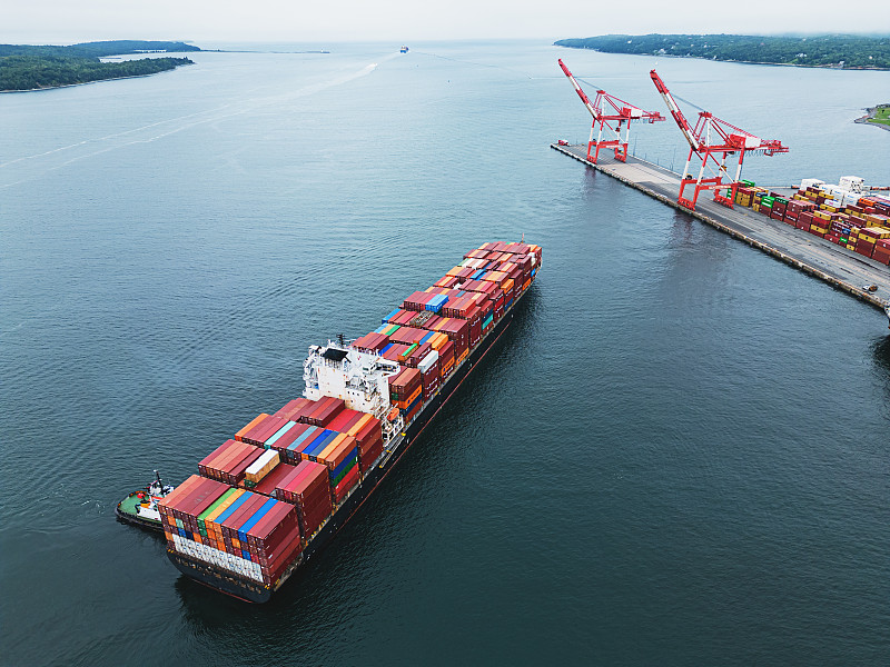 桦木采用中国广州海运高效送达新加坡 桦木采用中国广州海运高效送达新加坡