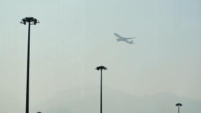 木制复合材料运用深圳空运专线速递到新加坡