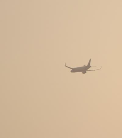 中国石河子碘伏棉签使用国际海空联运13天速递到新加坡