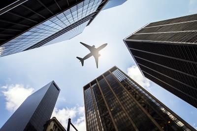 发财树种子借助海口空运物流专线速递到新加坡