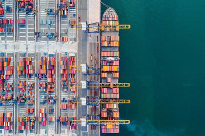 羽绒服采取中国南京门到门海运递送到新加坡