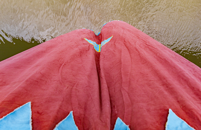 国际物流专线运输怎么运作(专线运输是什么意思)