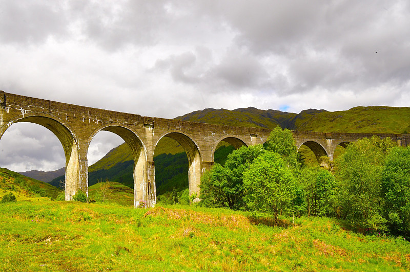 国际物流查询单号