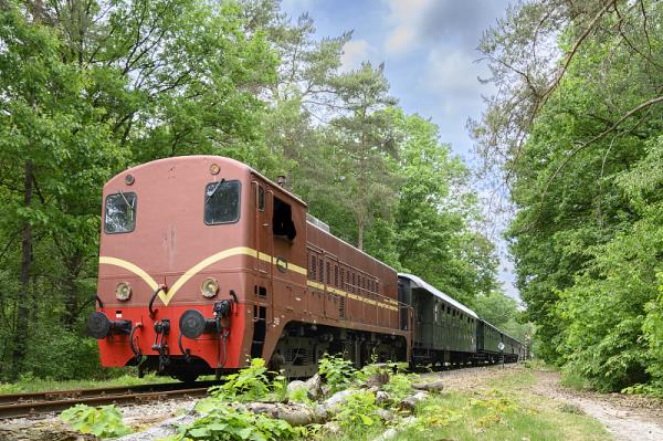 江浙皖的国际物流货物能不能发？上海港出通知了！
