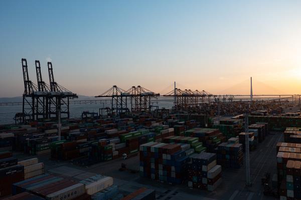 货主货代快提箱！交通部发布通知要求保障上海港畅通运转！