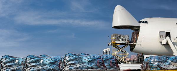 国际物流印度专线货运什么快递好？