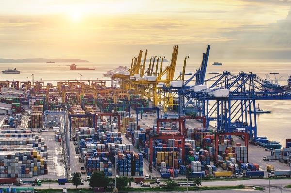 国际快递查询不到物流信息吗?(教您如何查国际物流信息)