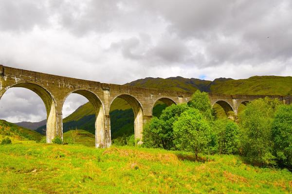 国际物流查询单号