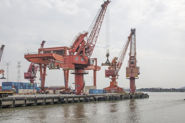 新加坡线路海运成本多少