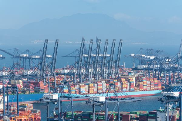 新加坡海运清关多久