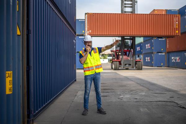 新加坡海运多久到东北