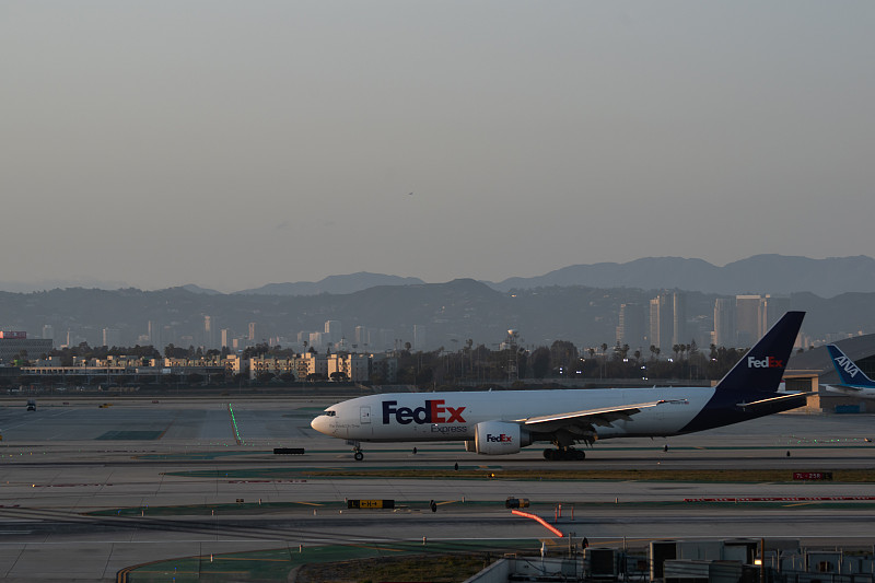 新加坡空运猫猫多少钱