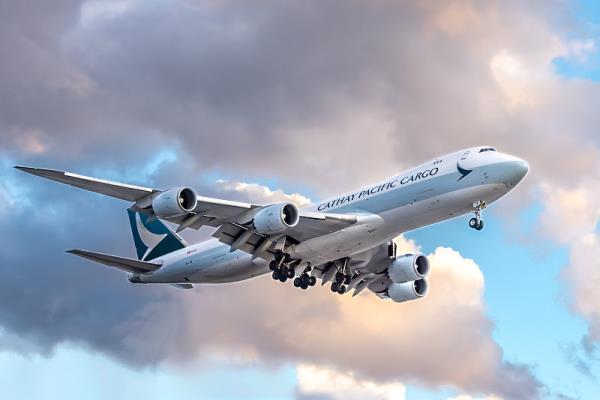 空运猫新加坡怎么寄回来