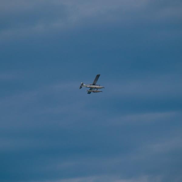 李子空运新加坡多少钱